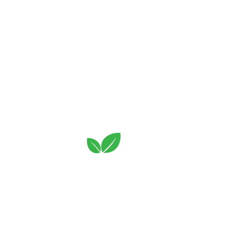 Ansari Logo